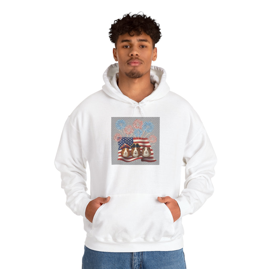 Patriotic Fireworks with Guinea Pigs Hoodie — American Flag Fireworks 4th of July Sweatshirt