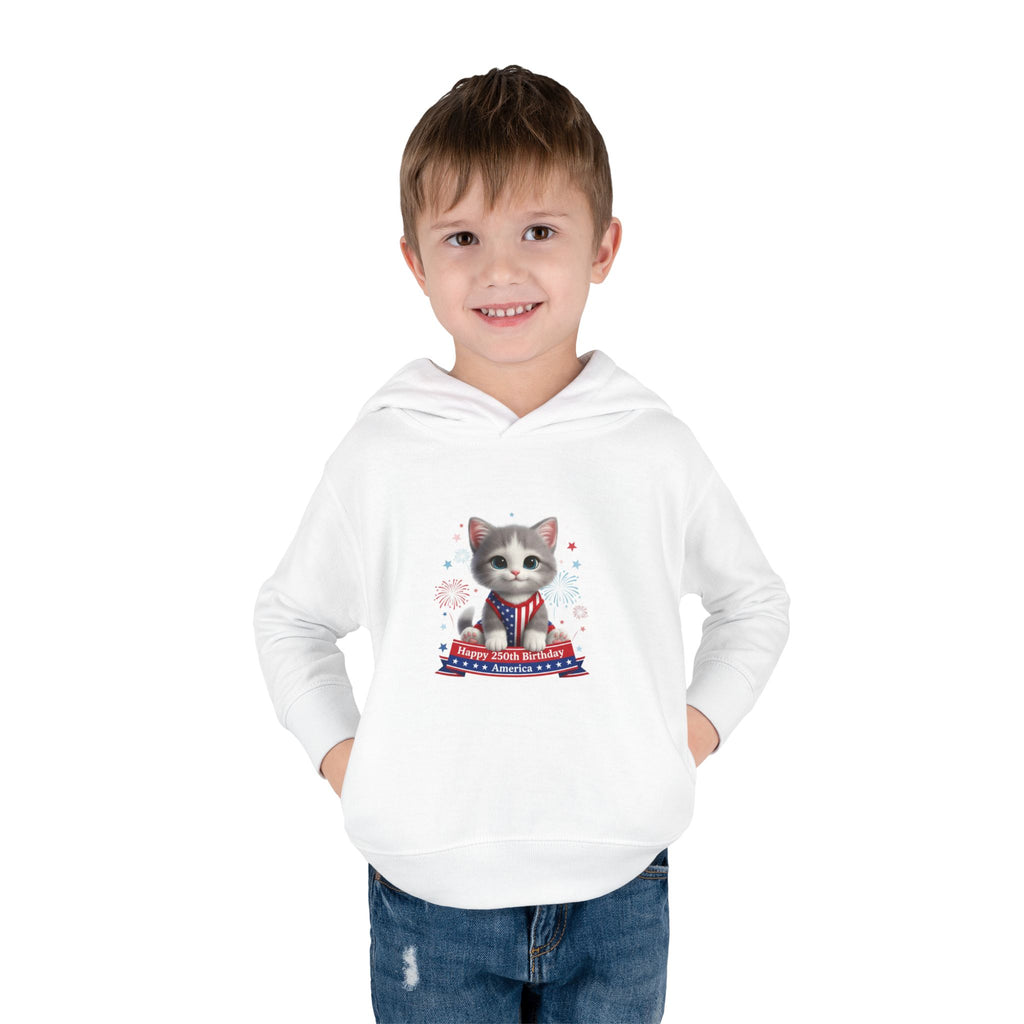 Kitties — 'Happy Birthday America' — Toddler Hoodie