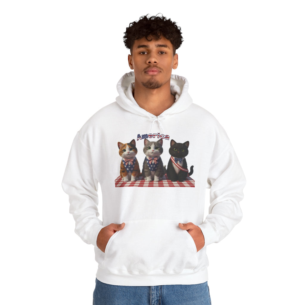 Patriotic Kittens Hoodie — 'America' Trio on Picnic Blanket