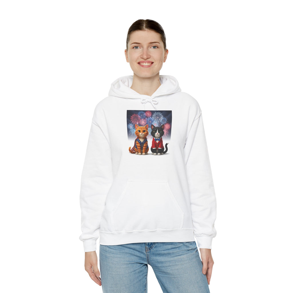 Cats Fireworks Hoodie — Patriotic Orange Tabby & Black Cat Illustration