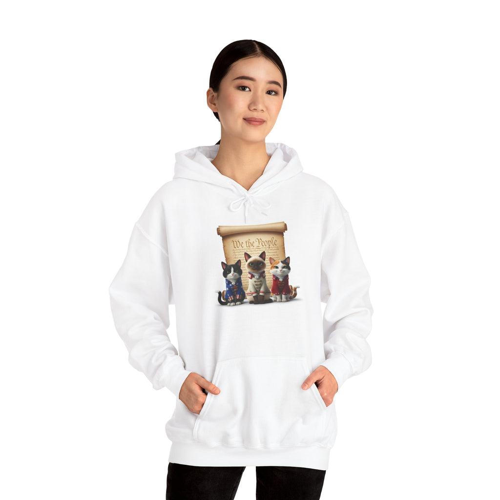 Cat Trio Hoodie —  Kittens Patriotic Graphic Pullover
