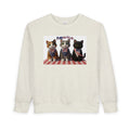 Kitties — Patriotic 'America' — Toddler Sweatshirt