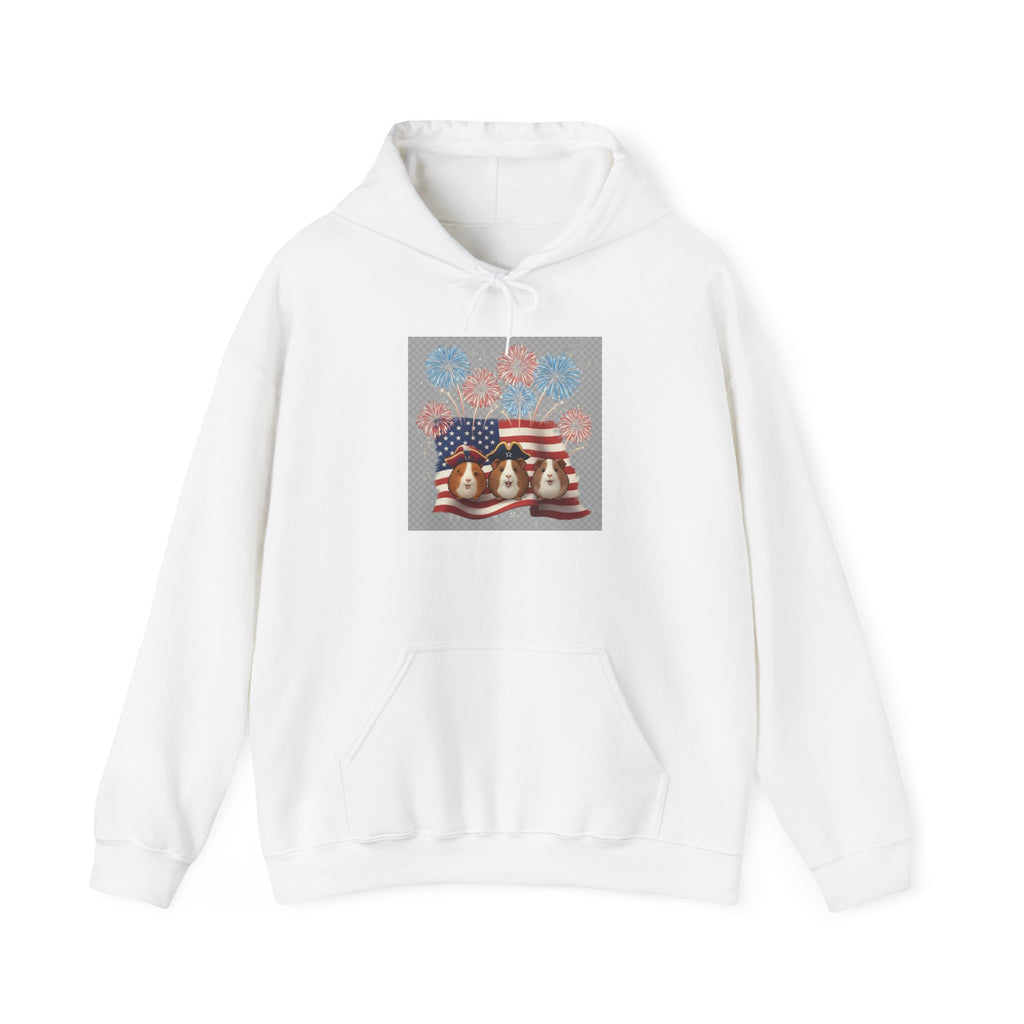 Patriotic Fireworks with Guinea Pigs Hoodie — American Flag Fireworks 4th of July Sweatshirt