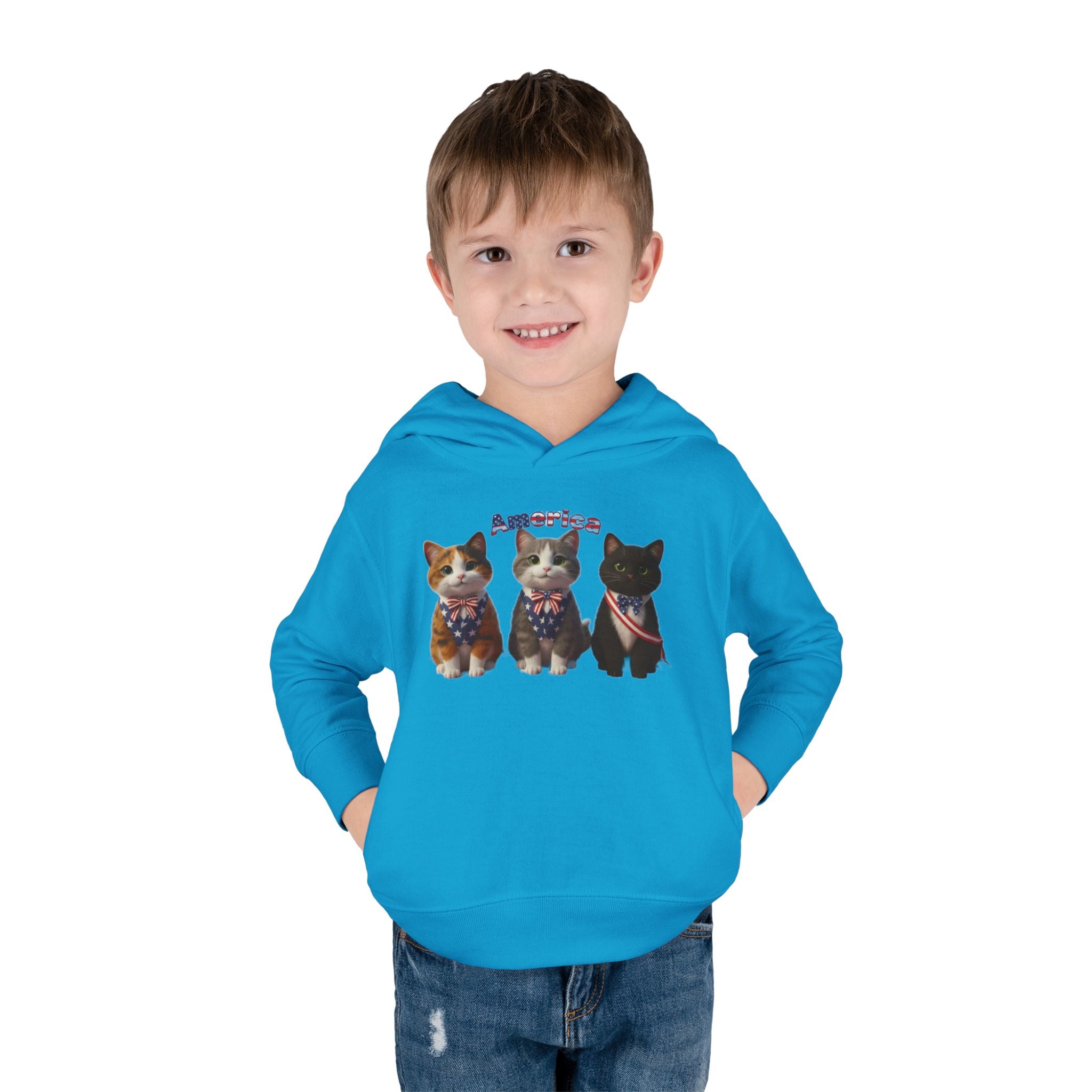Kitties Toddler Hoodie — Patriotic Kittens "America" Fleece Pullover