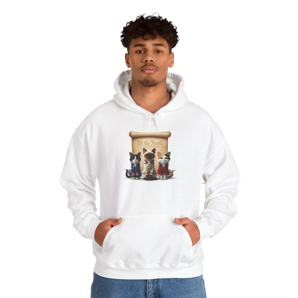 Cat Trio Hoodie —  Kittens Patriotic Graphic Pullover