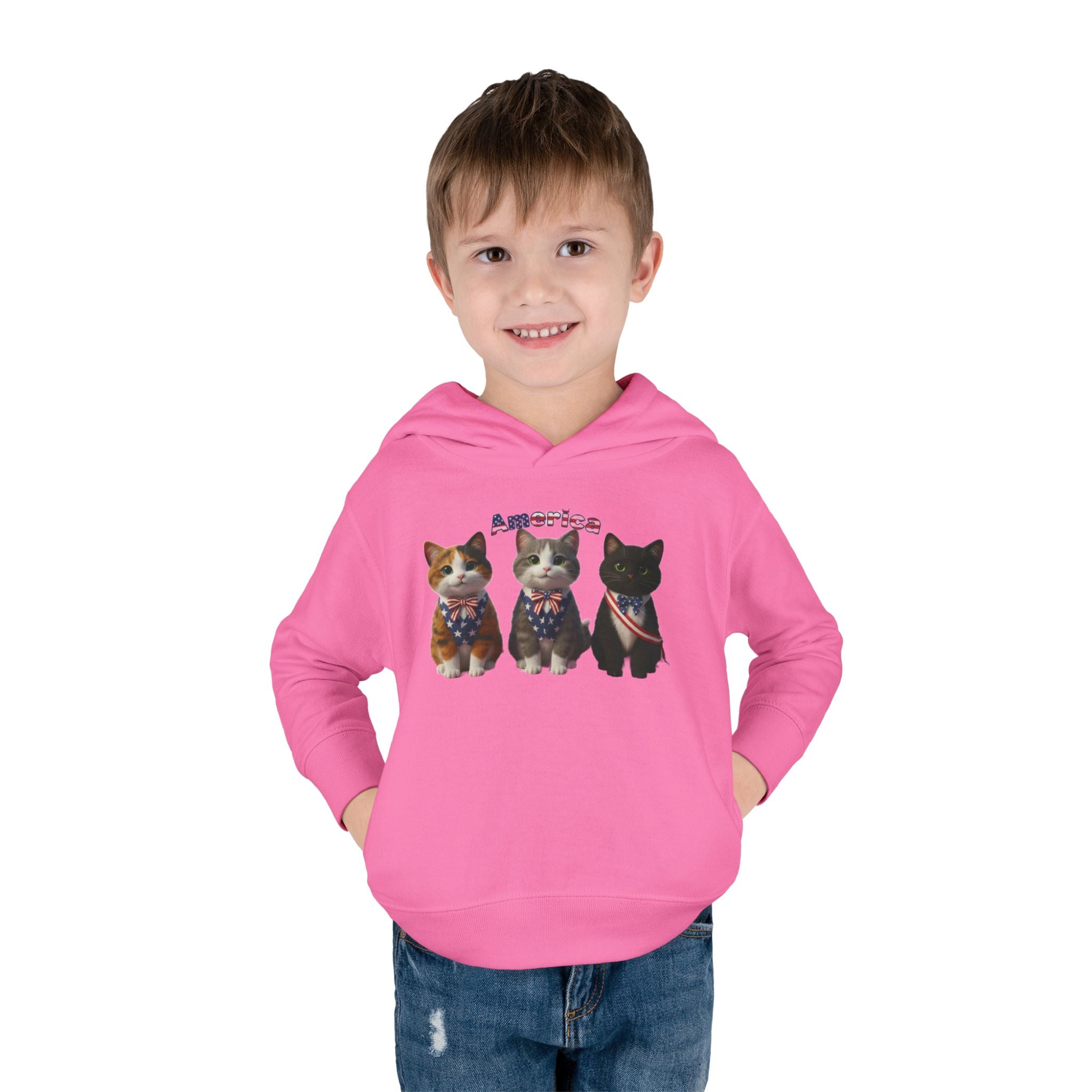 Kitties Toddler Hoodie — Patriotic Kittens "America" Fleece Pullover