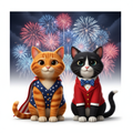 Fireworks Duo - Orange Tabby & Tuxedo